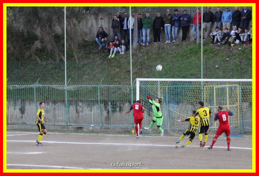 181111 Cepha_Milazzo 168_tn.JPG